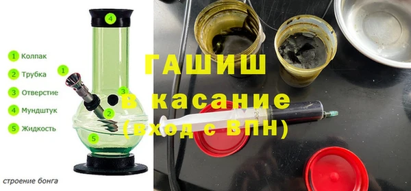 прущие грибы Елабуга