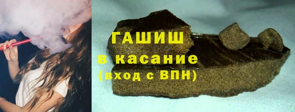 прущие грибы Елабуга
