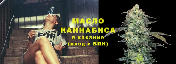 прущие грибы Елабуга