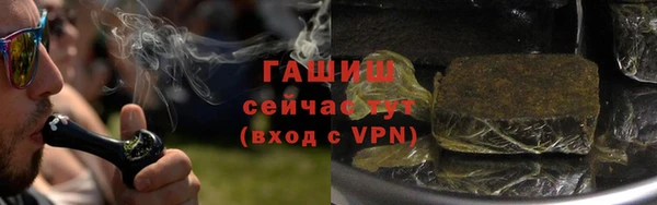 прущие грибы Елабуга