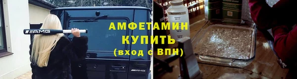 прущие грибы Елабуга