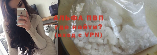 прущие грибы Елабуга