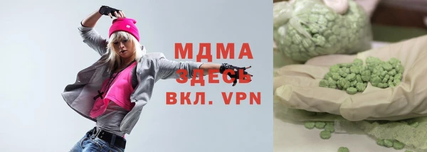 прущие грибы Елабуга