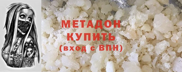 прущие грибы Елабуга