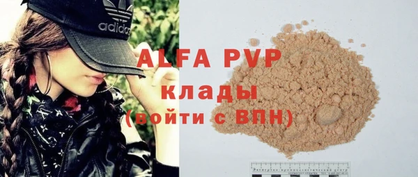 прущие грибы Елабуга