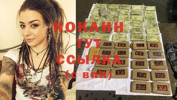 прущие грибы Елабуга
