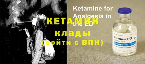 прущие грибы Елабуга
